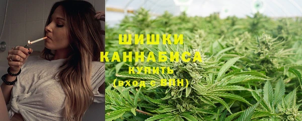 дмт Переславль-Залесский