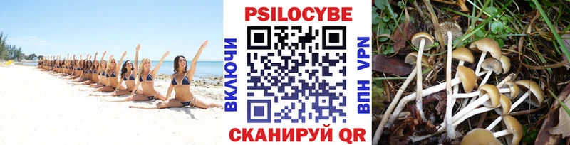 Псилоцибиновые грибы ЛСД  Котельниково 